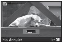 PENTAX K-1 II SILVER + GRIP K1EDITION LIMITE - Corriger le moiré - 1