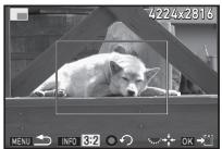 PENTAX K-1 II SILVER + GRIP K1EDITION LIMITE - Recadrer une partie de l'image - 1