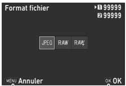 PENTAX K-1 II SILVER + GRIP K1EDITION LIMITE - Utilisation du panneau de contrôle - 2