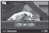 PENTAX K-1 II SILVER + GRIP K1EDITION LIMITE - Changement du nombre de pixels enregistrés - 1