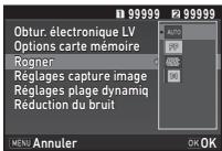 PENTAX K-1 II SILVER + GRIP K1EDITION LIMITE - Réglage de l'angle de vue - 2