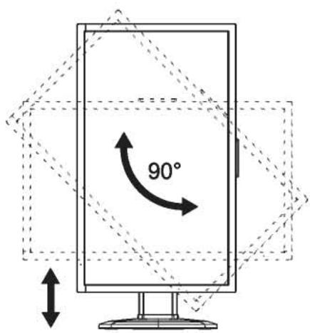 ITYAMA GB2488HSU-B1 - Connexion de votre moniteur - 1