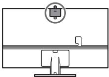 SAMSUNG TQ55QN95C - Connexion de la lamera au produit (série QN95C uniquement) - 1
