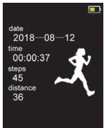 DARTY 36DaRryONEARZ - Pedometer - 2