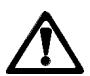 ZANUSSI ZBQ 961 SX - Accessoires du four - 1