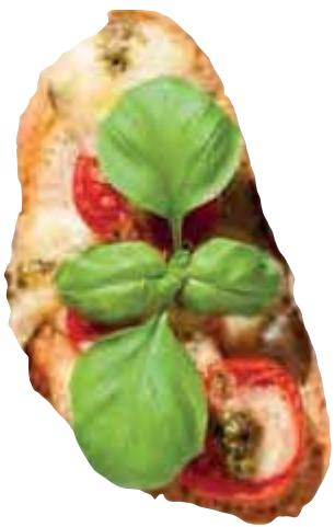 MAGIMIX C3200XL - Bruschetta tomate mozzarella - 6