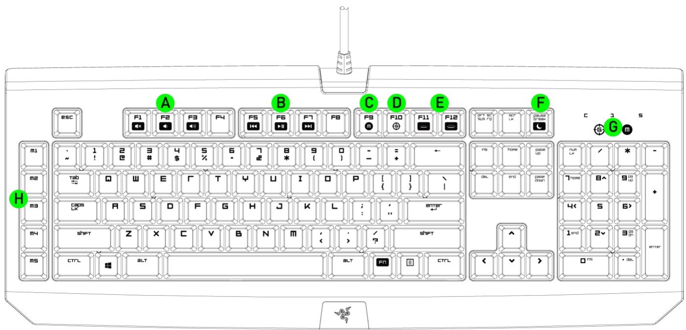 RAZER BLACKWINDOWULTIMATE - Disposition du clavier - 1