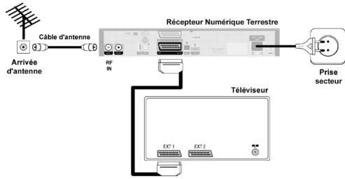 PHILIPS DTR 5010 - Connexion péritel - 1