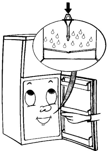 LADEN DP 5270 - Comment nettoyer le réfrigérateur - 1