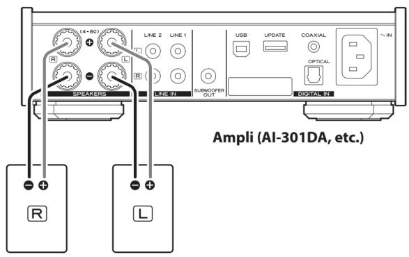 TEAC LS301 - Branchement à l'amplificateur - 1