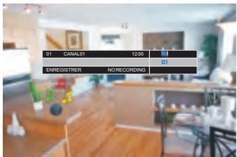 PEEKTON MEDIASCOP 100 - Affichage des informations des canaux - 2