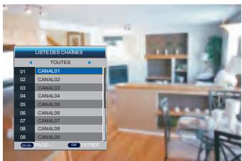 PEEKTON MEDIASCOP 100 - Affichage des informations des canaux - 1