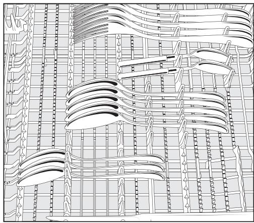 MIELE LAVE-VAISSELLEG5540SCSL - Disposition du tiroir à couverts - 1