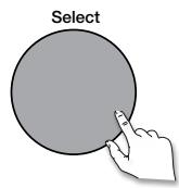 MAE DARRY PURERADIOEVOKE C-D4 SIENA - De bedieningstoetsen op het Voorpaneel gebruiken - 3