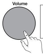 MAE DARRY PURERADIOEVOKE C-D4 SIENA - Adjusting and muting the volume - 3