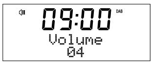 MAE DARRY PURERADIOEVOKE C-D4 SIENA - Regolare e disattivare il volume - 2