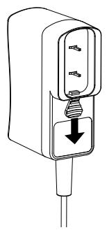 MAE DARRY PURERADIOEVOKE C-D4 SIENA - Kvikstart - 1
