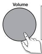 MAE DARRY PURERADIOEVOKE C-D4 SIENA - Indstilling og muting af lydstyrken - 3