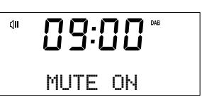 MAE DARRY PURERADIOEVOKE C-D4 SIENA - Adjusting and muting the volume - 4