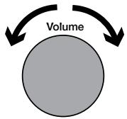 MAE DARRY PURERADIOEVOKE C-D4 SIENA - Réglage du volume/mode silence - 1
