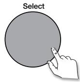 MAE DARRY PURERADIOEVOKE C-D4 SIENA - Brug af knapperne på frontpanelet - 3