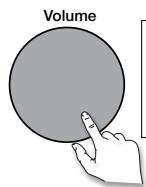 MAE DARRY PURERADIOEVOKE C-D4 SIENA - Regolare e disattivare il volume - 3