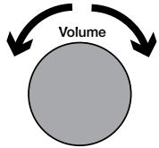 MAE DARRY PURERADIOEVOKE C-D4 SIENA - Indstilling og muting af lydstyrken - 1
