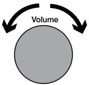 MAE DARRY PURERADIOEVOKE C-D4 SIENA - Adjusting and muting the volume - 1