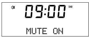 MAE DARRY PURERADIOEVOKE C-D4 SIENA - Het volume regelen en het geluid dempen - 4