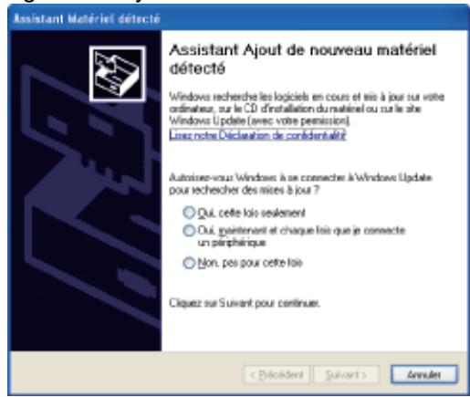 CANON LBP7018C - Si les icônes et dossiers ne s'affichent pas - 2