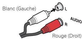 PIONEER VSX-330K - Cables audio analogiques - 1