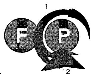 SCHOLTES CIH526 - Programmation d'une cuisson en départ différé - 4