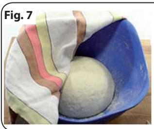 OHMEX OHM-PiZ-4001 - Preparation de la PATE - 1