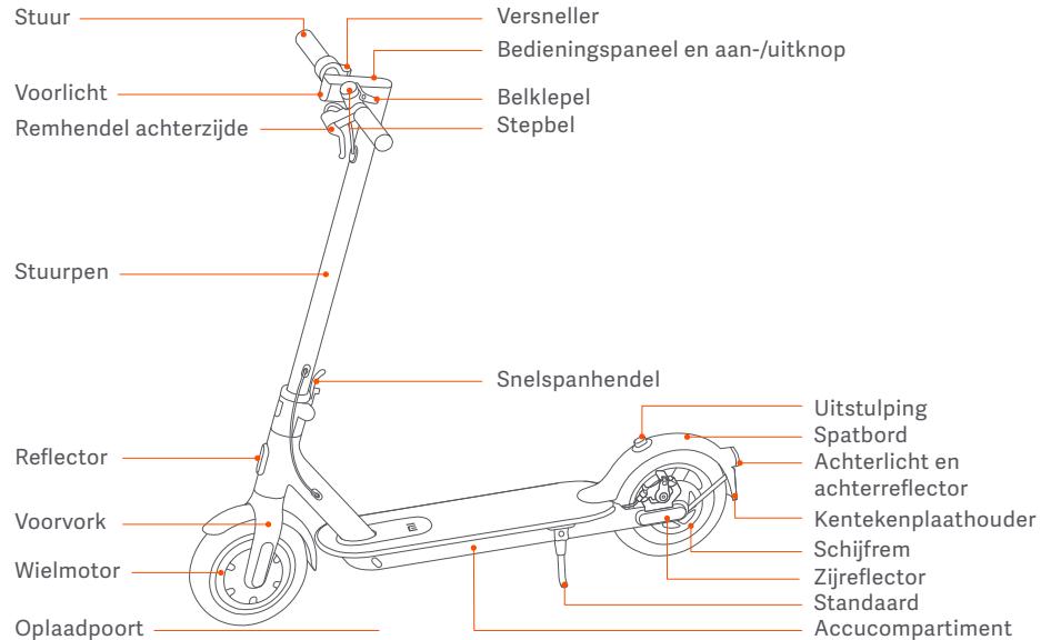 Xiaomi DaRryXIAOMITROTTINETTEMISCOOTS - Productverzicht - 1