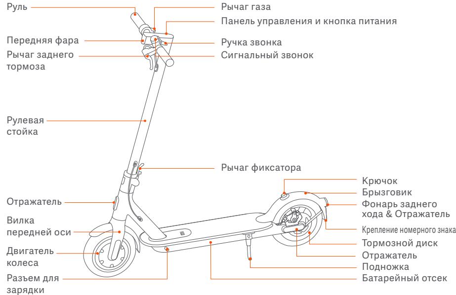 Xiaomi DaRryXIAOMITROTTINETTEMISCOOTS - 2.Озоридения - 1