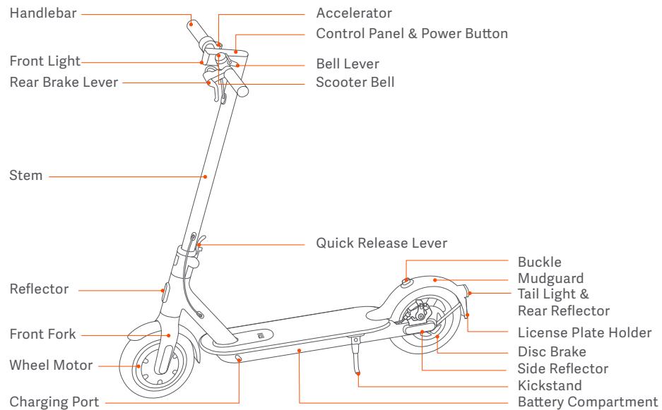 Xiaomi DaRryXIAOMITROTTINETTEMISCOOTS - Product Overview - 1