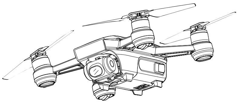 DII SPARK VERT - Guide de l'utilisateur - 1