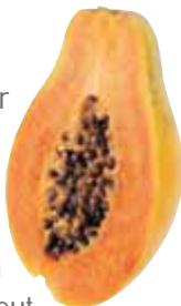 MAGIMIX 18042FDUO PLUS XL NO - Litchi - 6