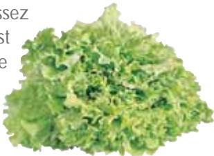 MAGIMIX 18042FDUO PLUS XL NO - Salade - 2