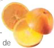 MAGIMIX 18042FDUO PLUS XL NO - Agrumes - 4
