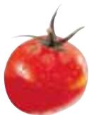MAGIMIX 18042FDUO PLUS XL NO - Tomate - 2