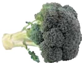 MAGIMIX 18042FDUO PLUS XL NO - Brocoli - 2