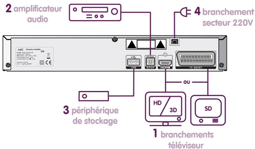 NELI SAT MULTITV SUPP - Raccordement de la base neli sat multi TV - 1