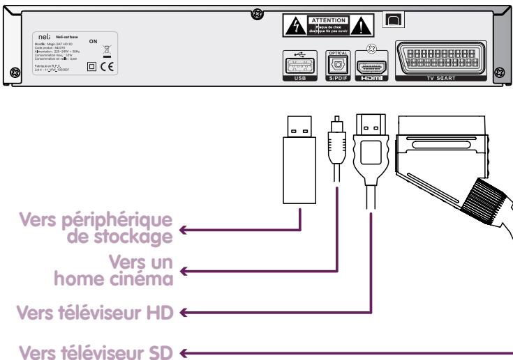 NELI SAT MULTITV SUPP - Description générale - 3