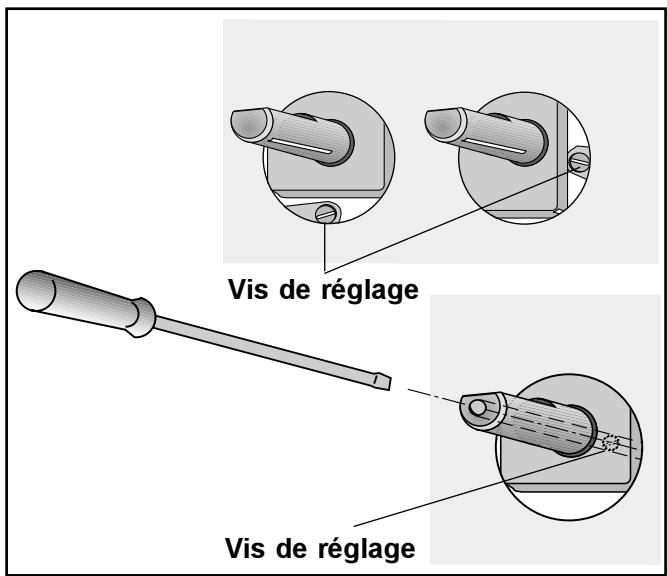 ZANUSSI ZGG641IW - Alimentation en gaz Butane ou Propane - 2