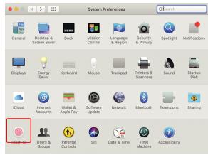 MOBILE PIXELS 101-1006P04 - Mode dupliqué en mode étendu pour mac OS - 1