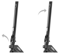 LAMBORGHINI NC - Avoiya: - 1