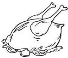 PROLINE PLF213WH - Volaille - 1