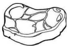 PROLINE PLF213WH - Vande rouge - 1