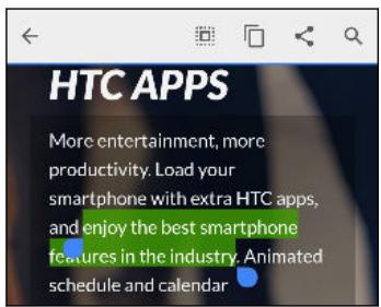 HTC OME AS CARBON GREY - Sélectionner, copier et coller du texte - 1